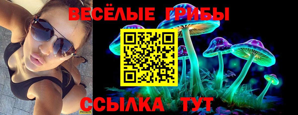 что такое   Вход с VPN  Дмитров  Галлюциногенные грибы GOLDEN TEACHER 