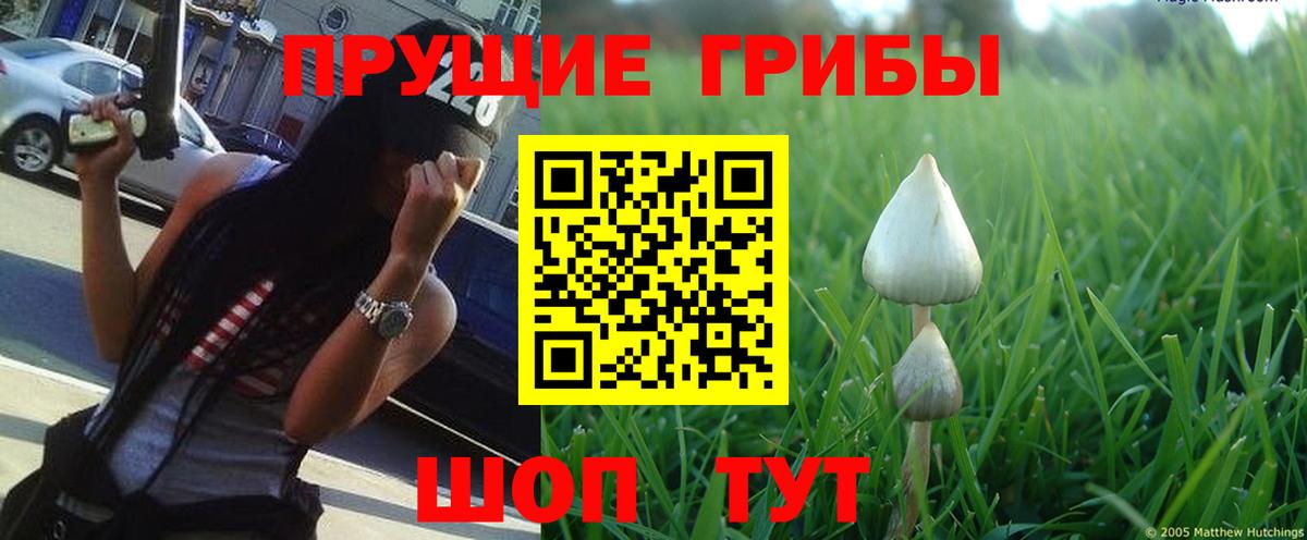 Псилоцибиновые грибы ЛСД Дмитров